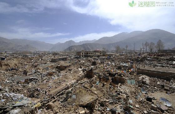 科学研究发现植物能预测地震(本文由迷糊园花卉植物主题交友社区[www.
