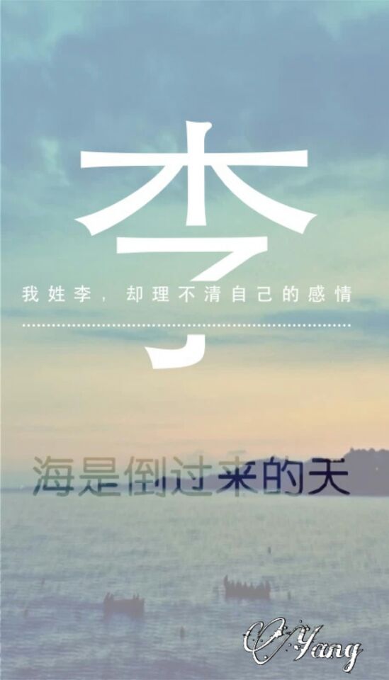 我姓李 