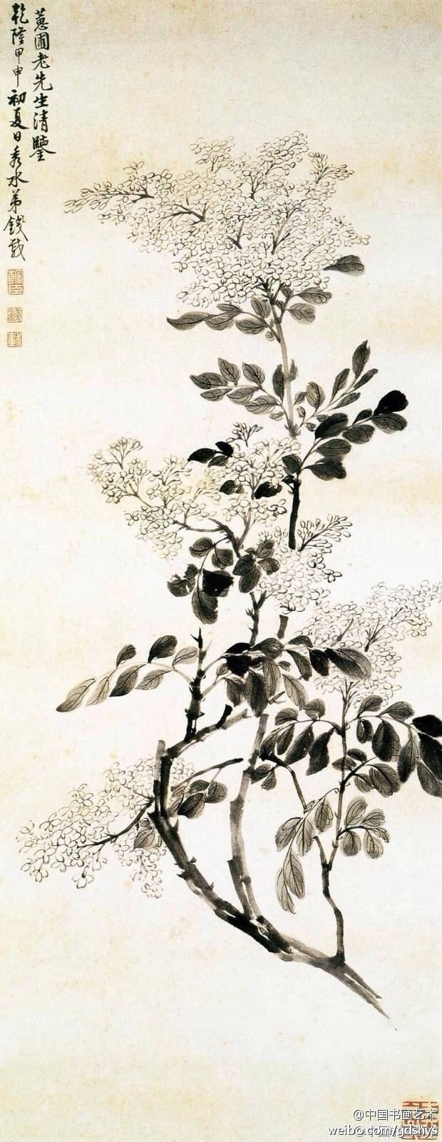 【清 钱载《丁香图】此画撷取白丁香花枝,以水墨勾染描绘其花开似