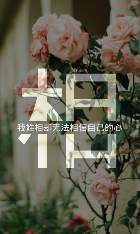 姓氏带上句子