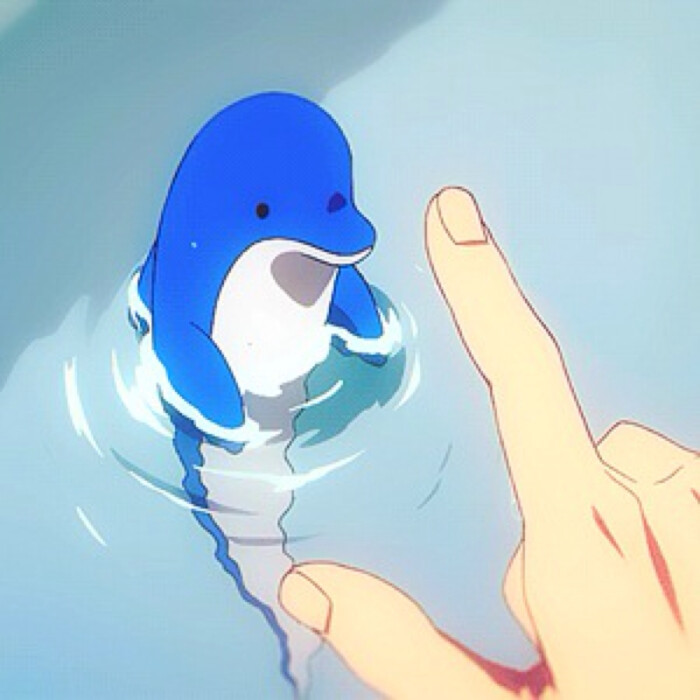 小海豚不许动!定!