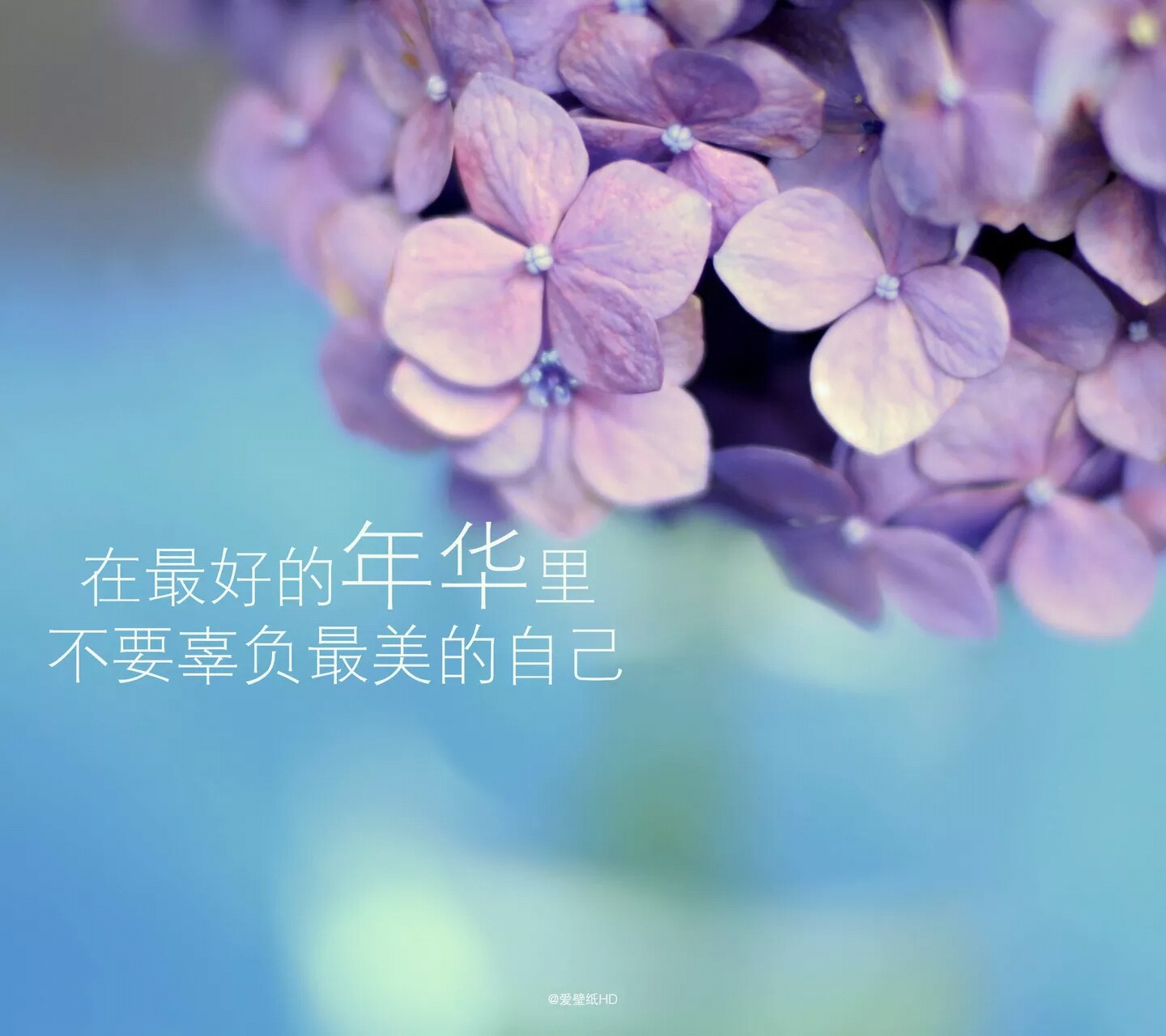 物是人非的苍白感慨里,只剩回忆还在残喘地交战,如果你没有选择离开.