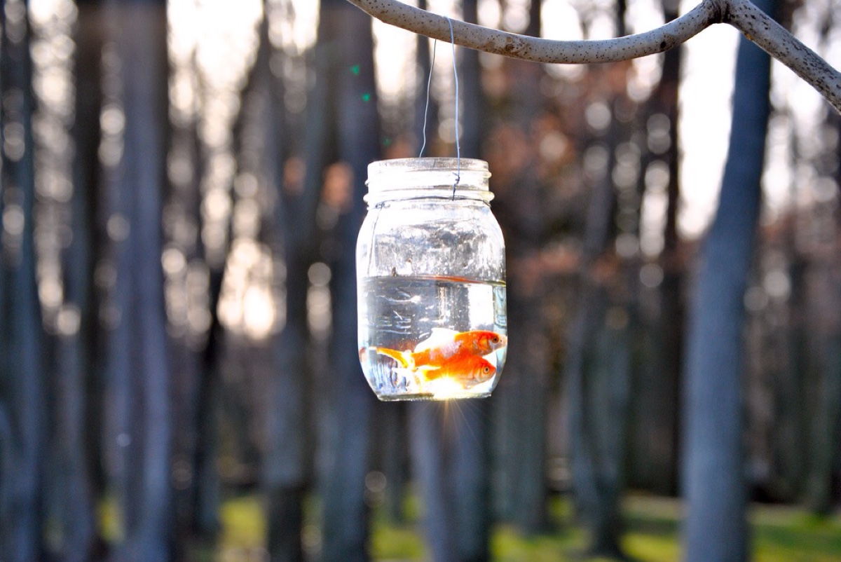 键盘壁纸背景,小清新.更新ing 拿图请支持戳关注喜欢.