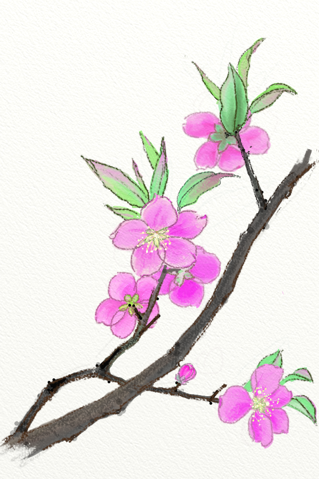 桃花绘画单瓣图片