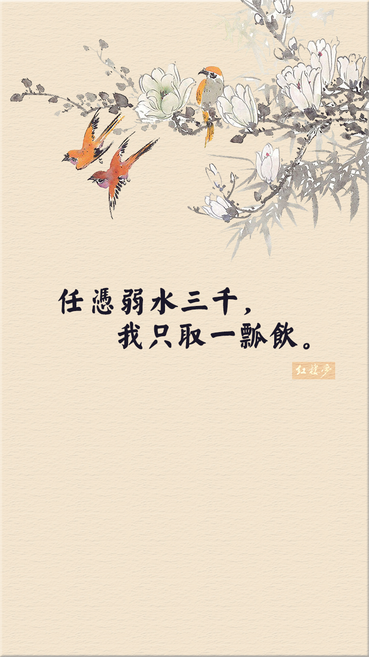 红楼梦 任凭弱水三千 我只取一瓢饮