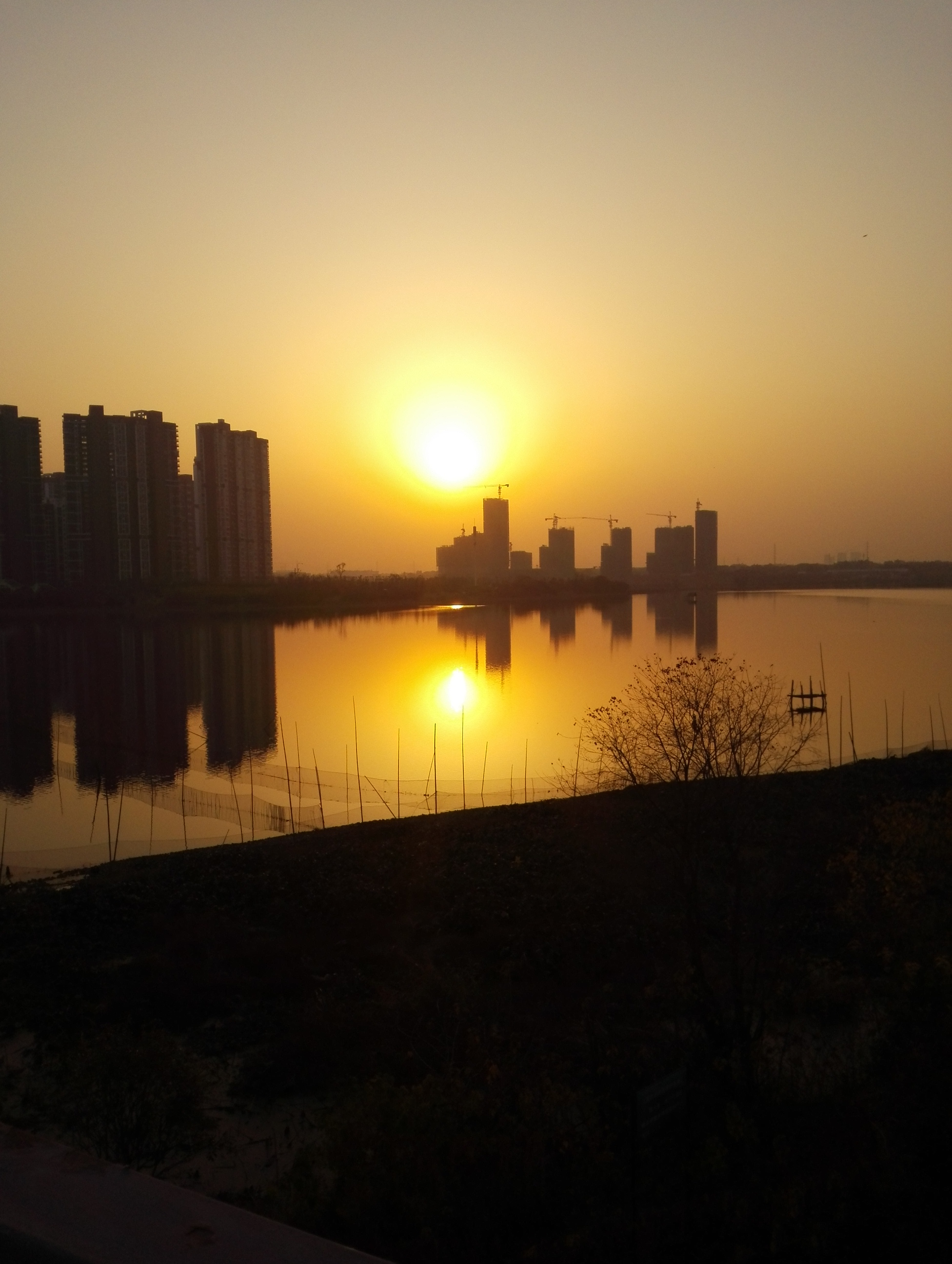 塞尔达黄昏弓_塞尔达传说黄昏弓厉害吗_塞尔达黄昏弓是哪张卡
