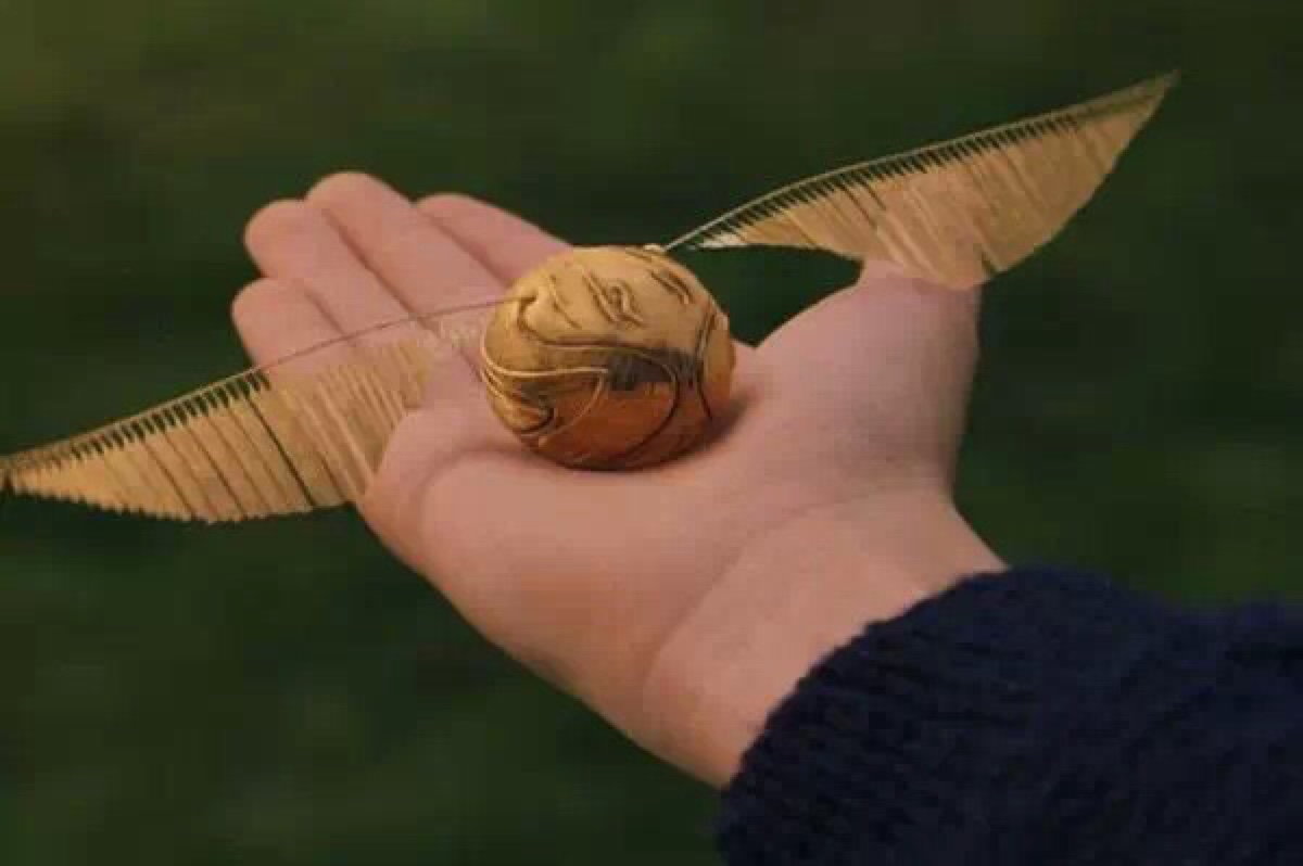 金色飞贼～《哈利.波特与魔法石》出版于 19…-堆糖
