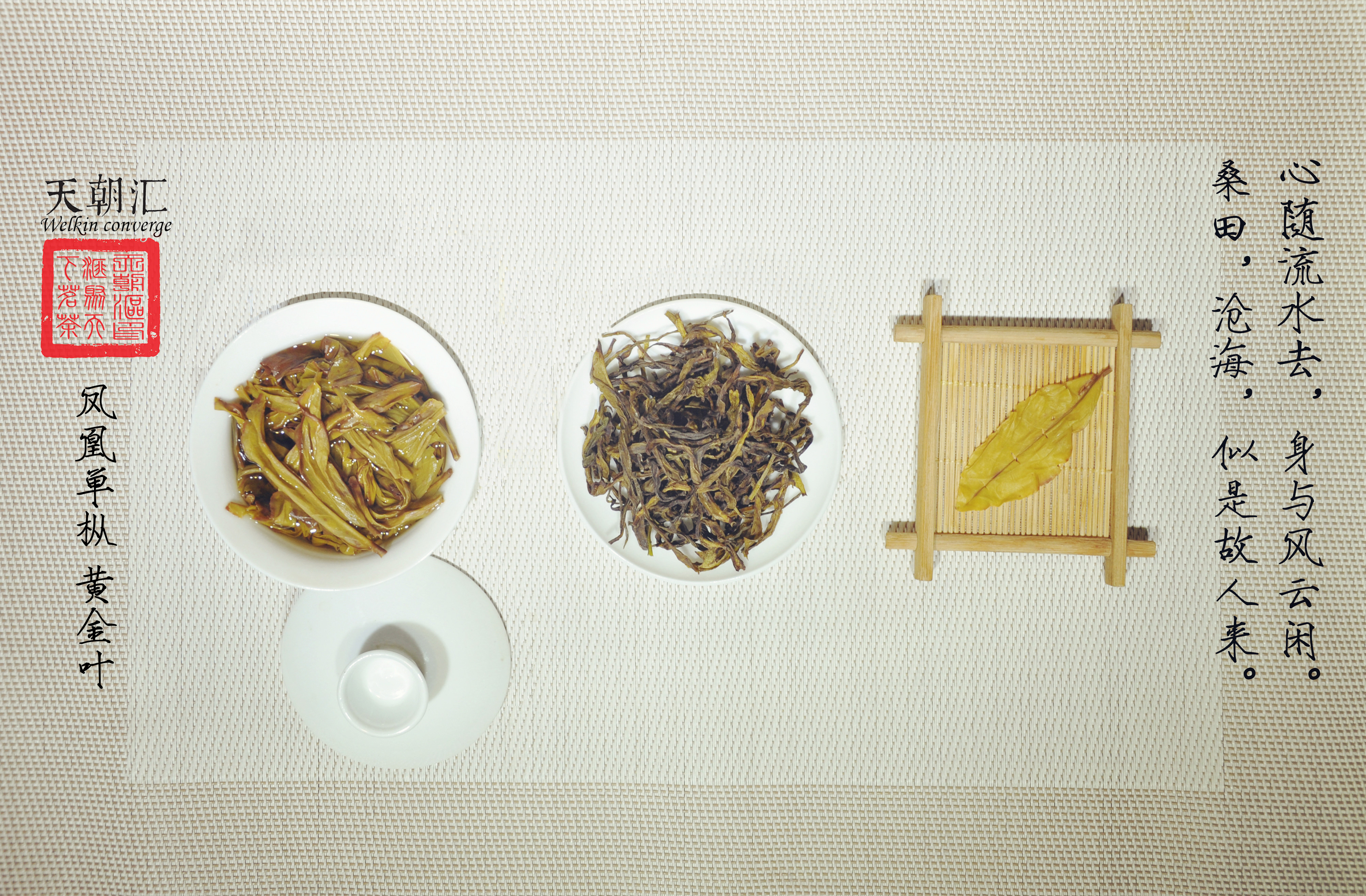 似是故人来 天朝汇 茶 凤凰单枞 白从单枞 黄金叶雪片 中国风 摄影