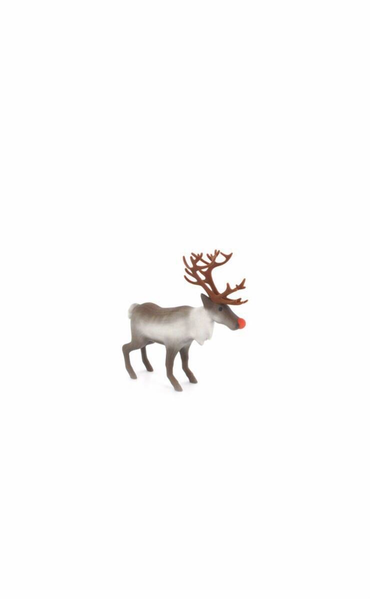 圣诞节壁纸 麋鹿