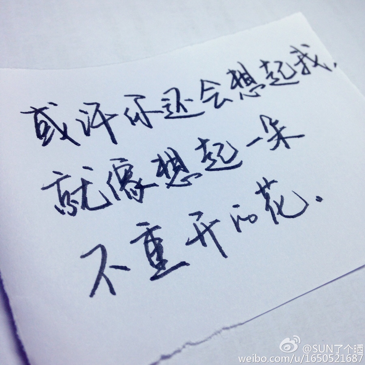 手写 文字 句子 治愈 温暖 情绪#圣诞快乐)