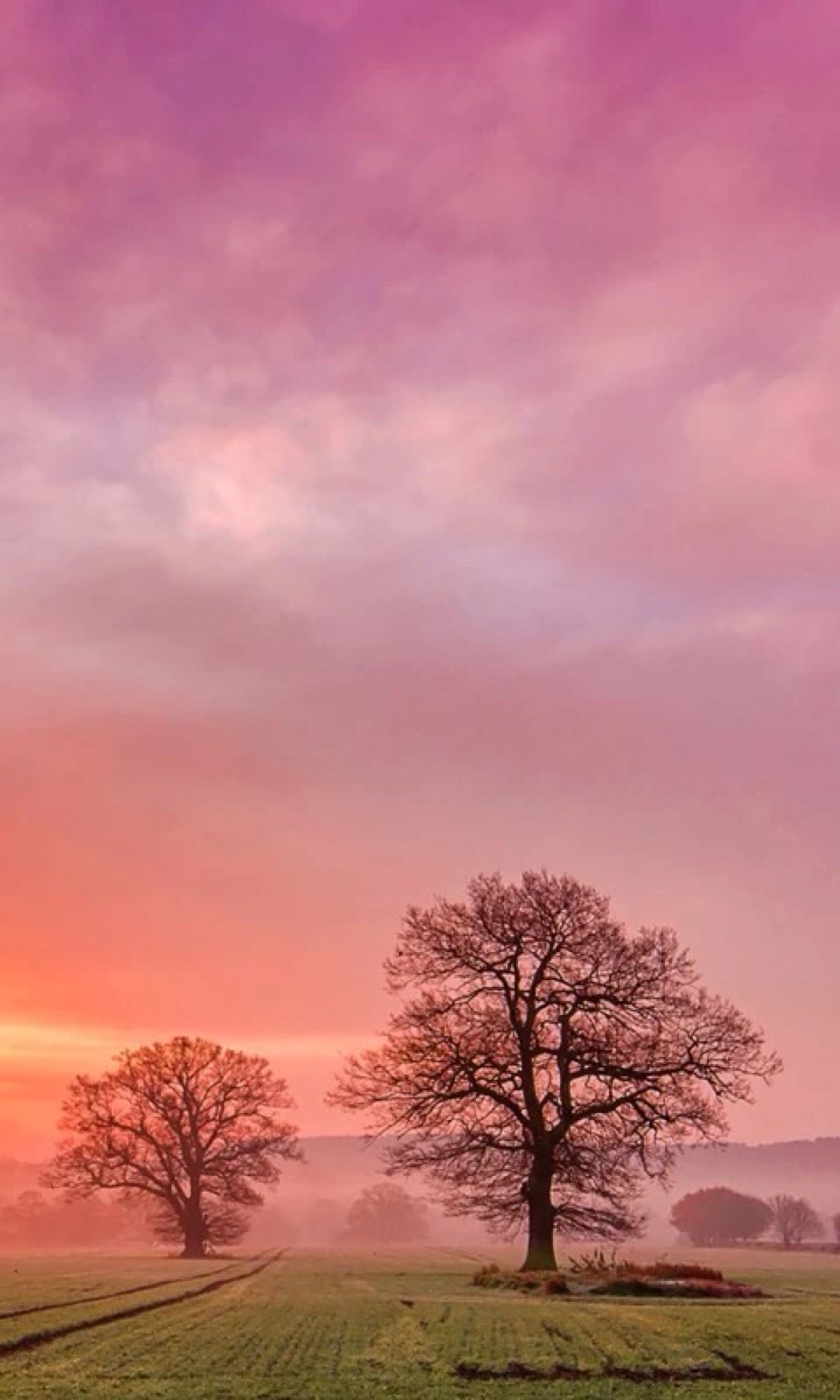 1200_2000竖版 竖屏