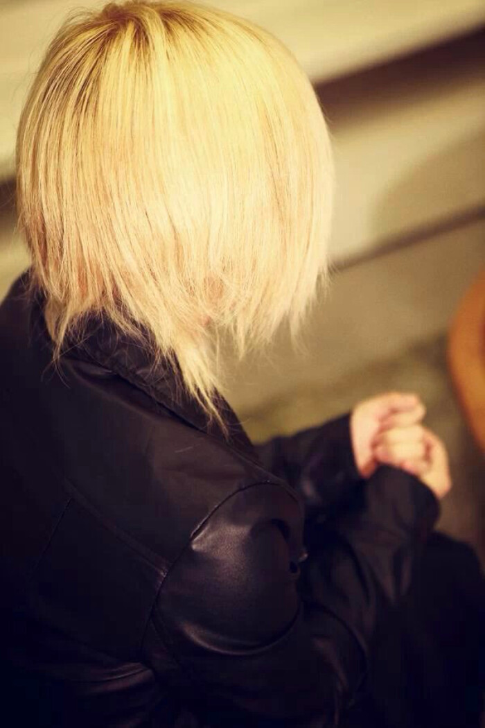 96猫颜出 万图壁纸网