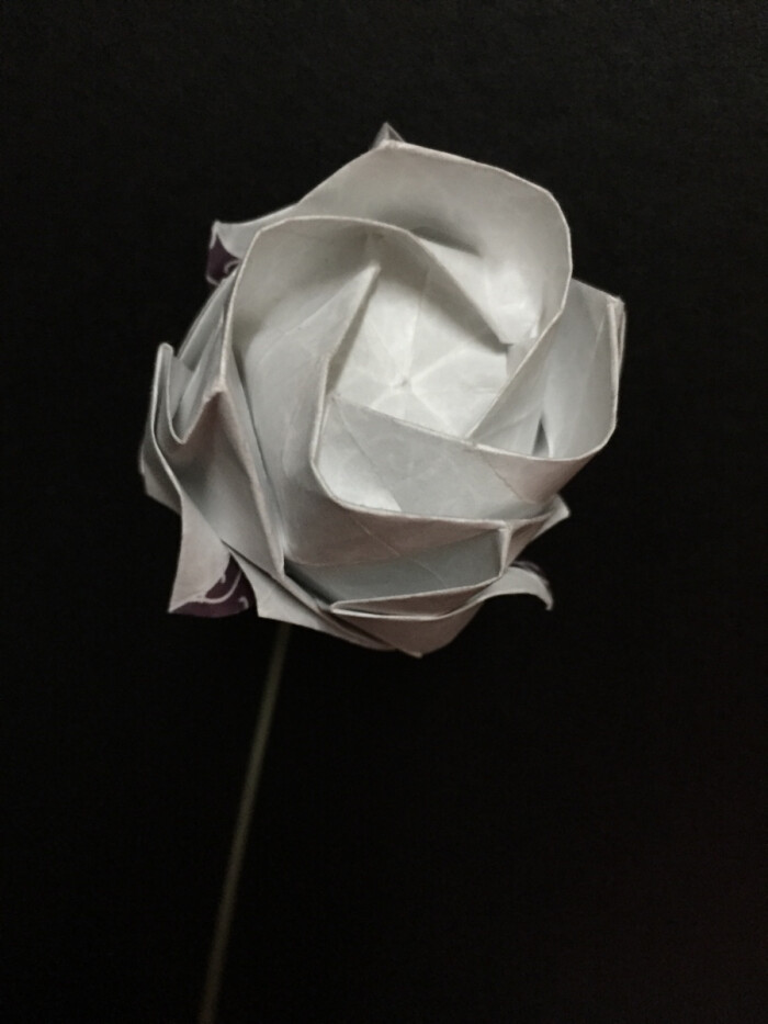 今天终于学会了折川崎玫瑰,第一次折,形状还不太完美