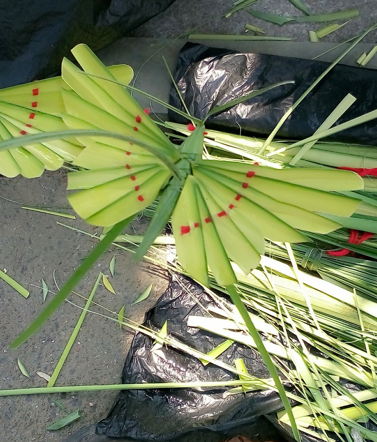 中叶编制的蝴蝶