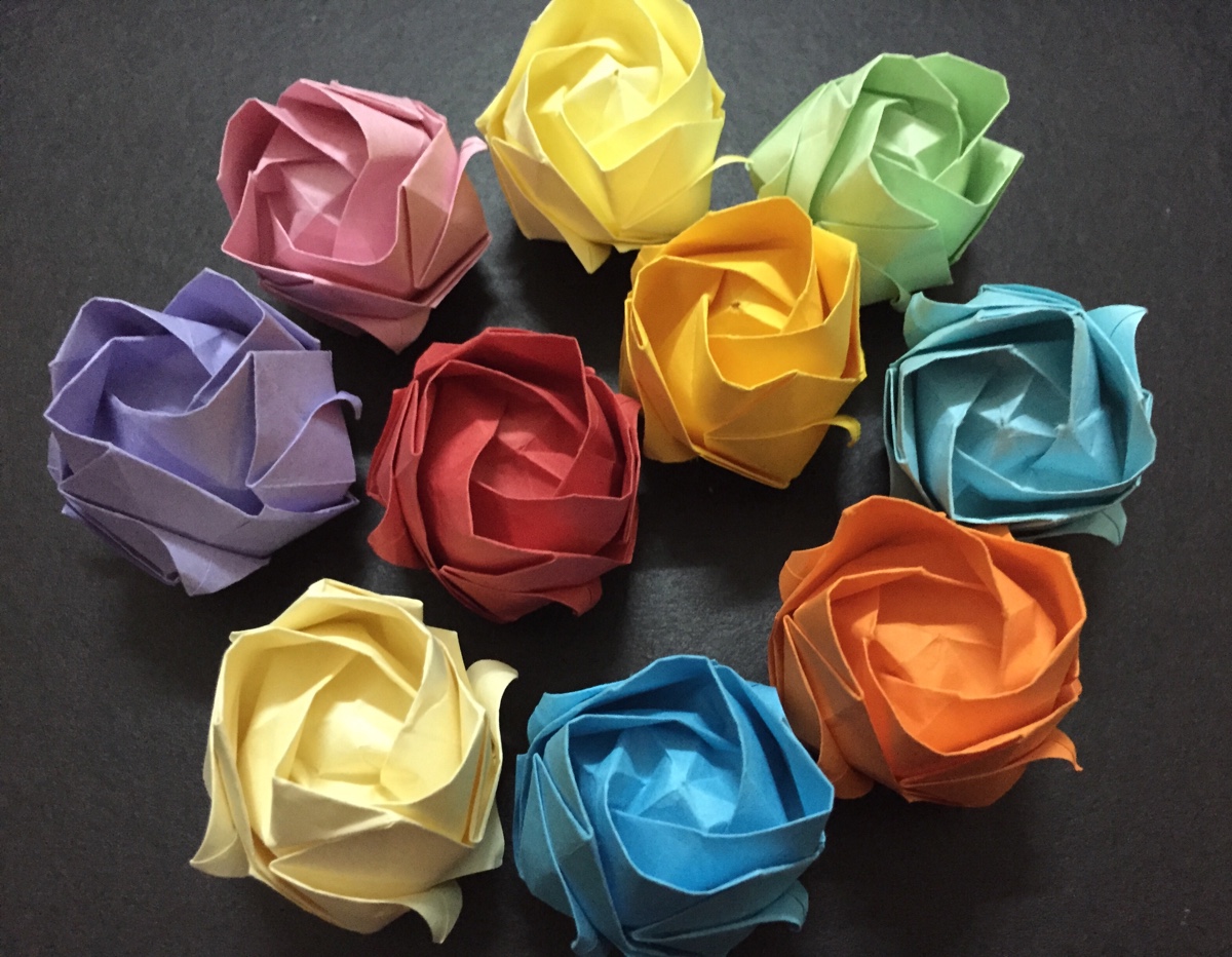 我的新年习作:川崎玫瑰