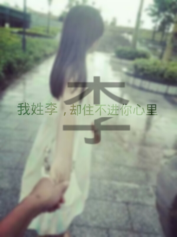 我姓李 