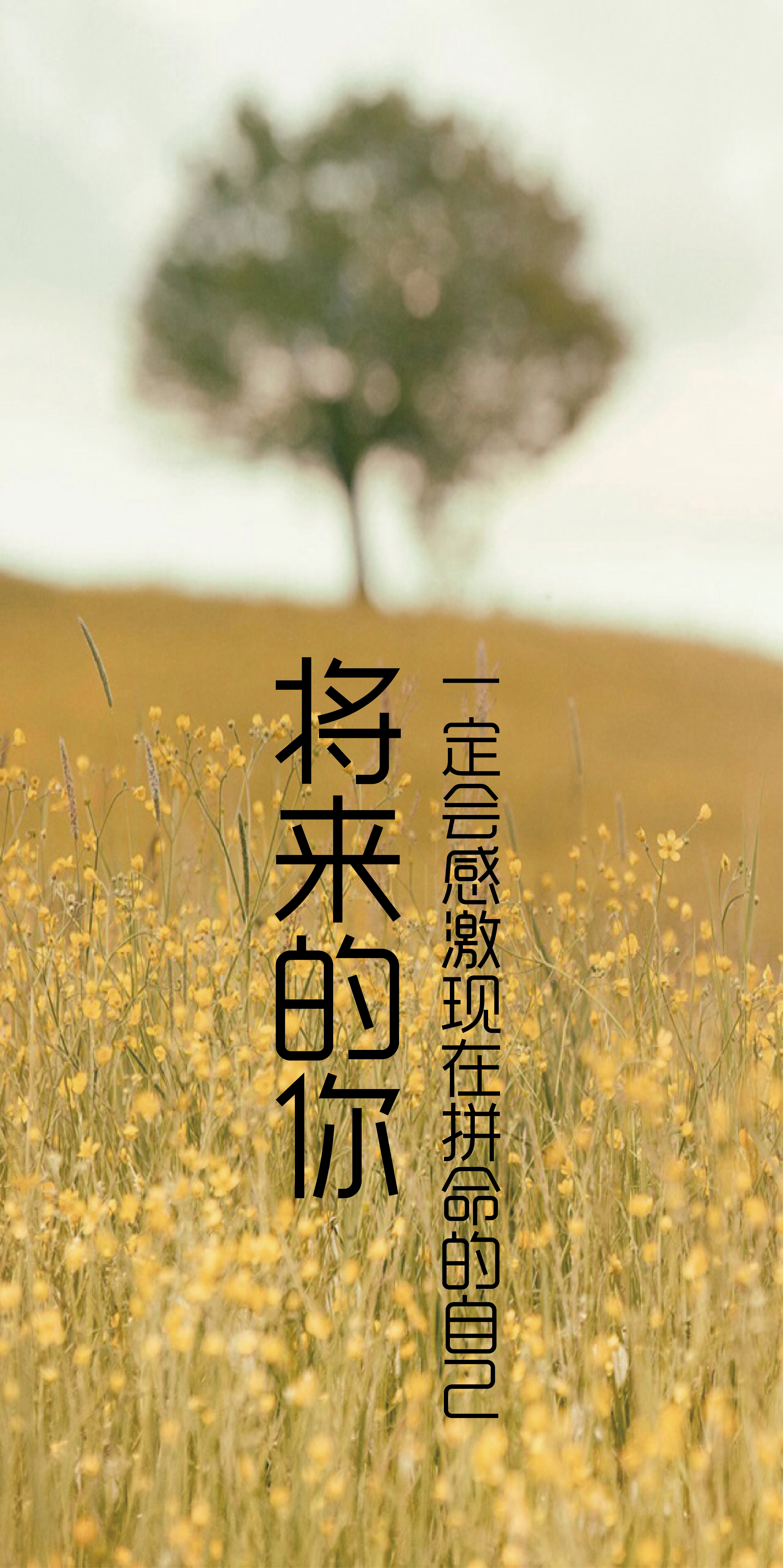 励志短句,文字控