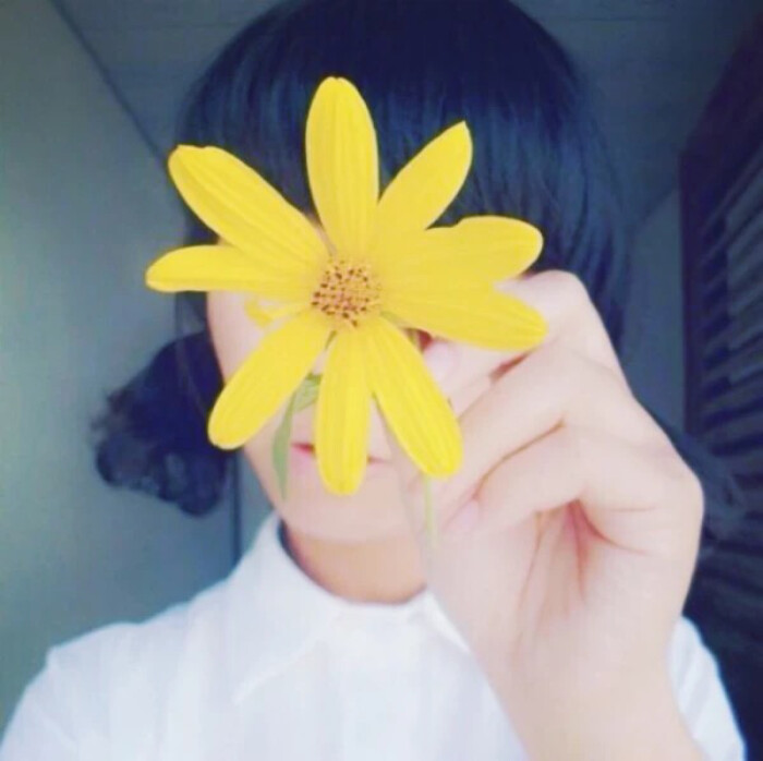 菊花 女生头像