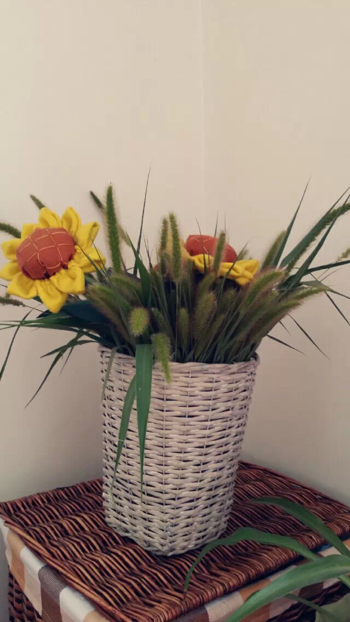 狗尾巴草与向日葵