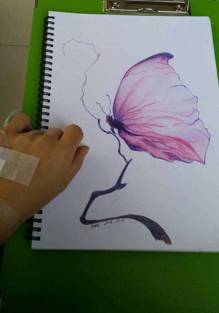 大孔雀蝶的简笔画彩色图片