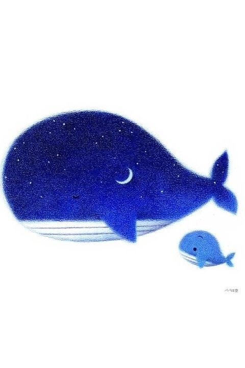 个性壁纸 小鲸鱼