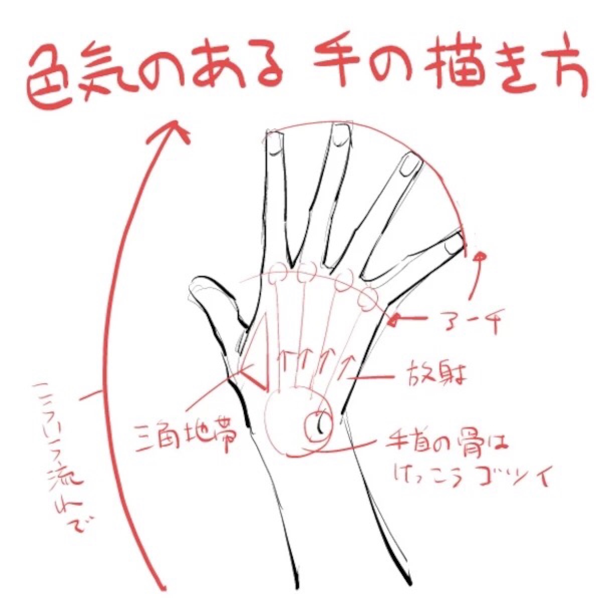 绘画教程()手,手掌,手关节