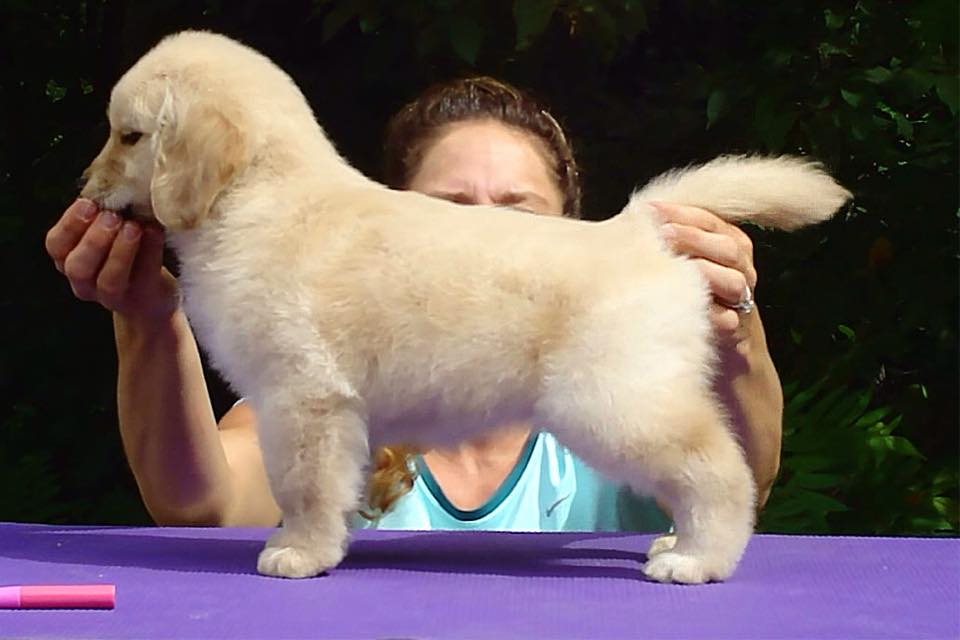 hobo ex gladys,呼名:glee,全名:wyomings its your range that