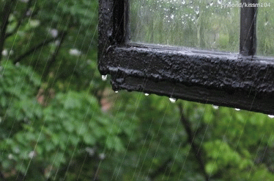 窗台的雨,唯美gif动态图