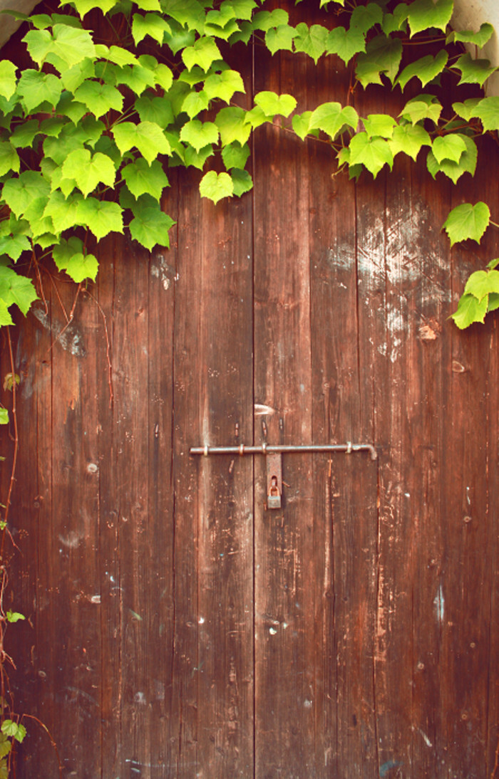 推开这扇门,全新绿世界.