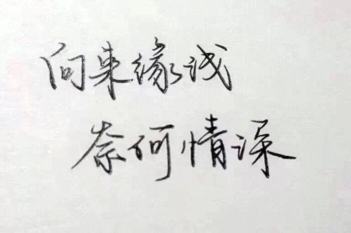 向来缘浅,奈何情深