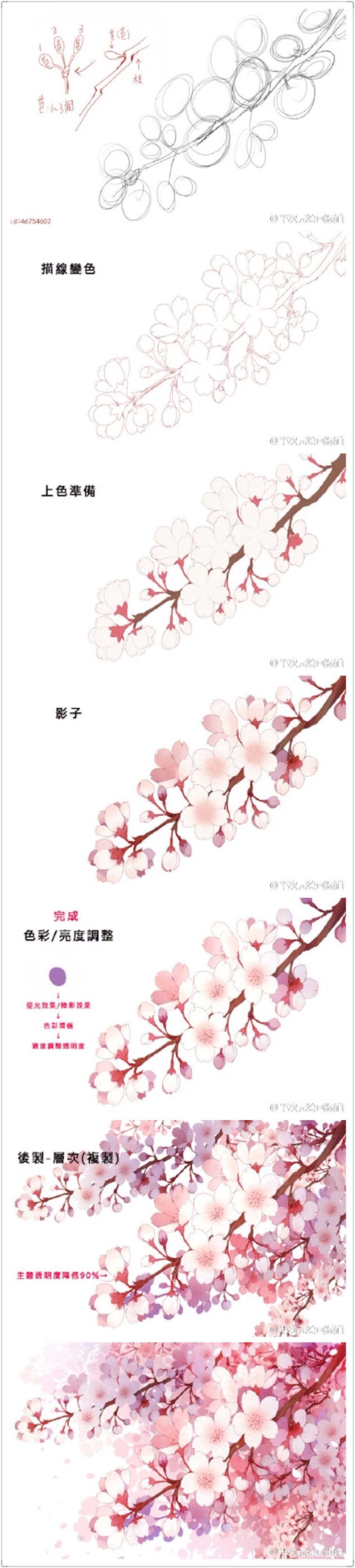 樱花画法.冬天就快过去了,樱花即将盛开了