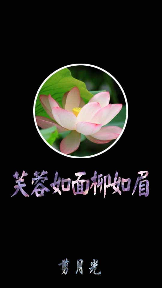 芙蓉如面柳如眉 「剪月光」出品