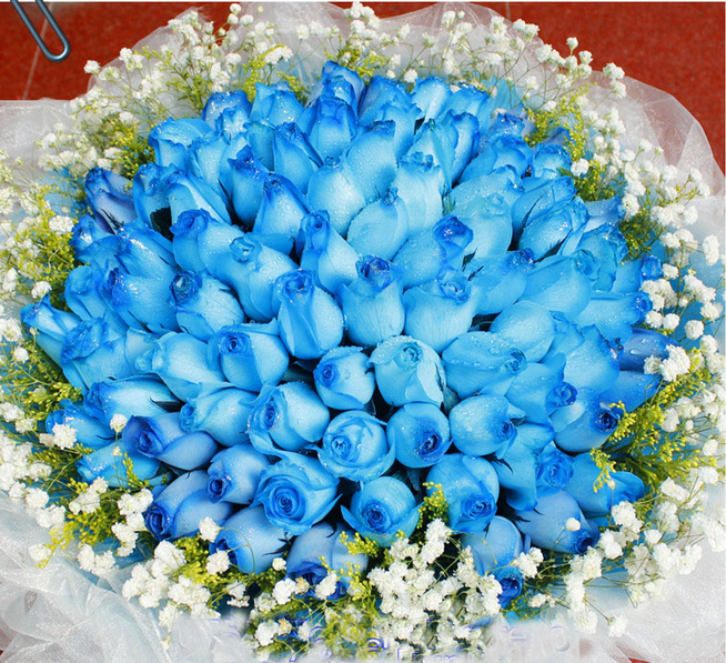 蓝玫瑰代表敦厚善良和独一无二; 玫瑰象征爱情和真挚纯洁的爱,人们多
