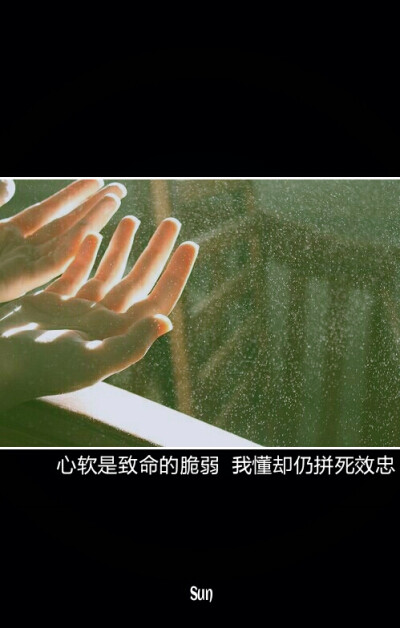 收集   点赞  评论  原创手写 文字 句子 温暖 治愈 清新 正能量
