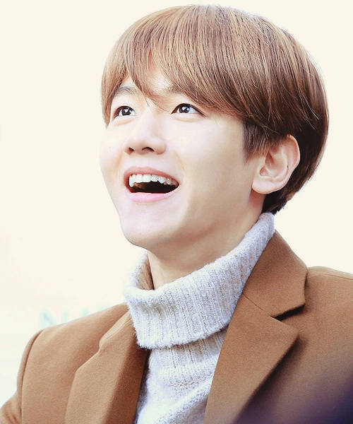 边伯贤 exo