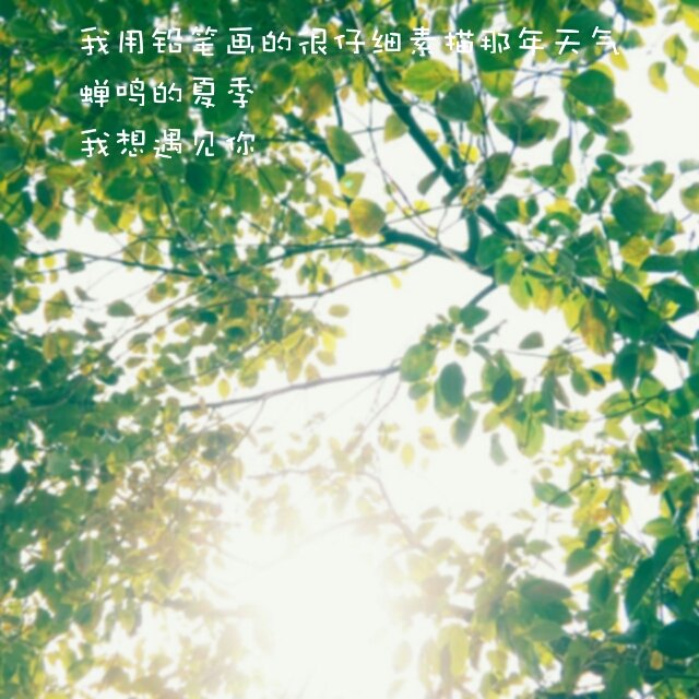 蝉鸣的夏季我想遇见你