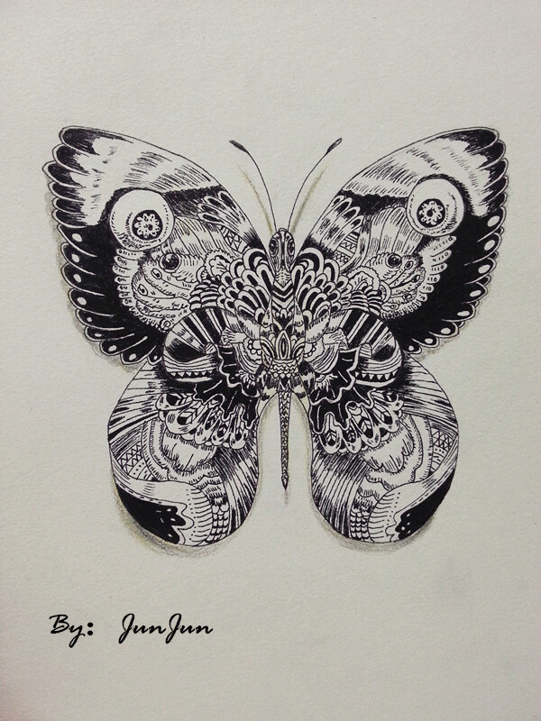 蝴蝶黑白画创意图图片