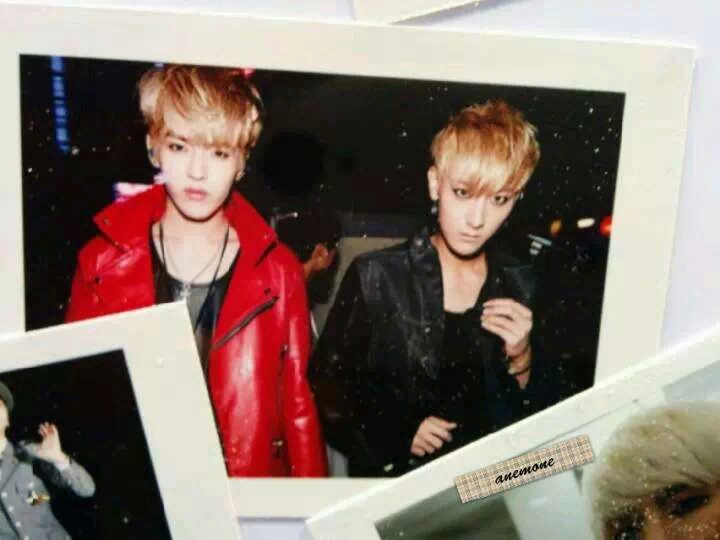 牛桃exo cp 吴亦凡黄子韬 kris tao