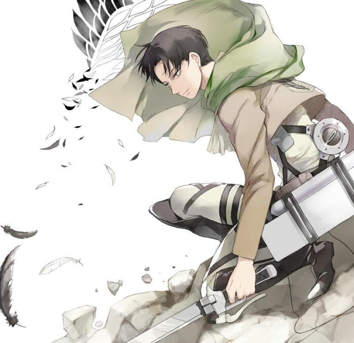 动漫 妖孽 同人 原创 自由之翼 调查兵团 进击的巨人 艾伦 三笠 兵长