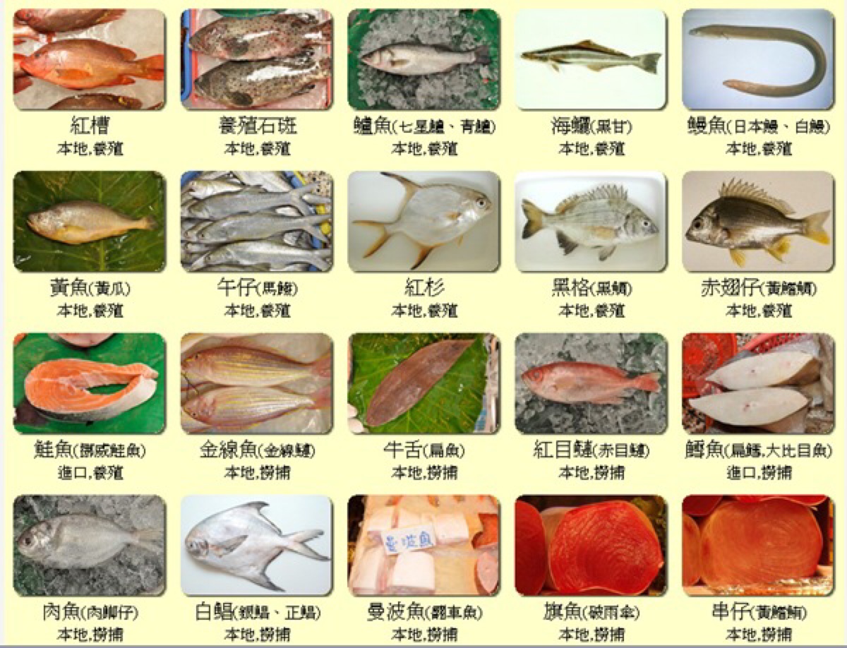 贝类海鲜名称对照表图片