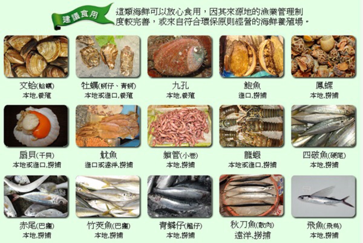海鲜品种大全及名字图片