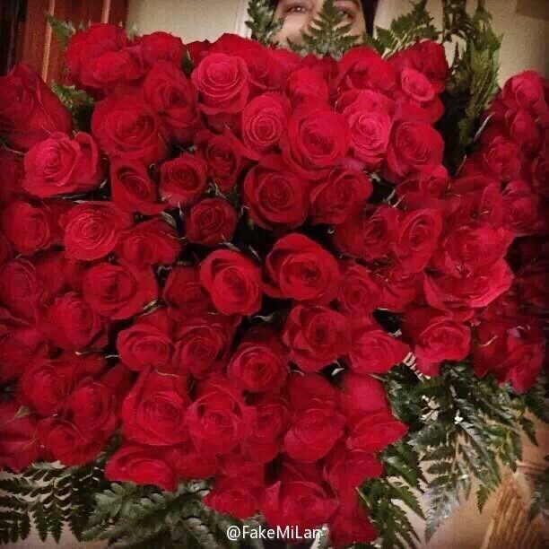 女头 你爱么 玫瑰花