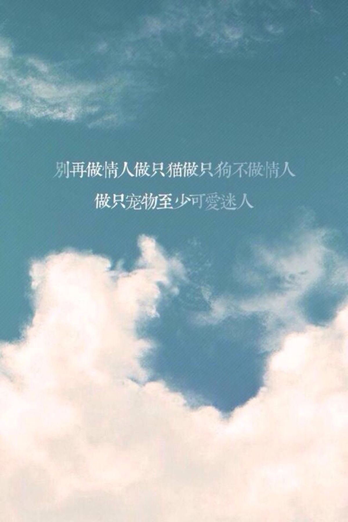 歌词 文字 壁纸 愿世间所有的美好都如约而至 禁二次上传