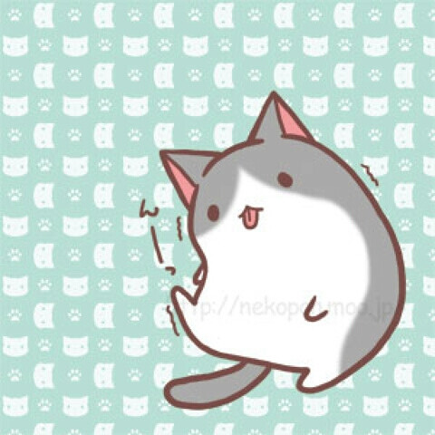 二次元 手绘 萌物 治愈 插画 p站 小猫 萌萌哒 头像 壁纸 套图更新中