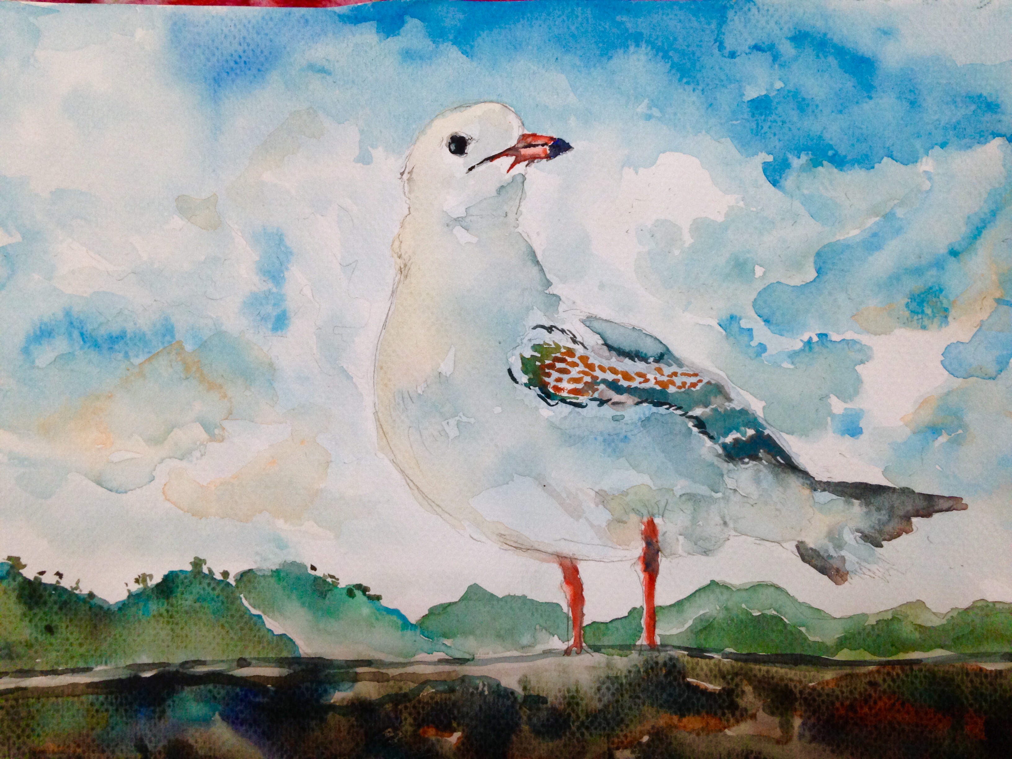 tuceby 2015年2月19日 15:15 关注 插画 水彩 收藏