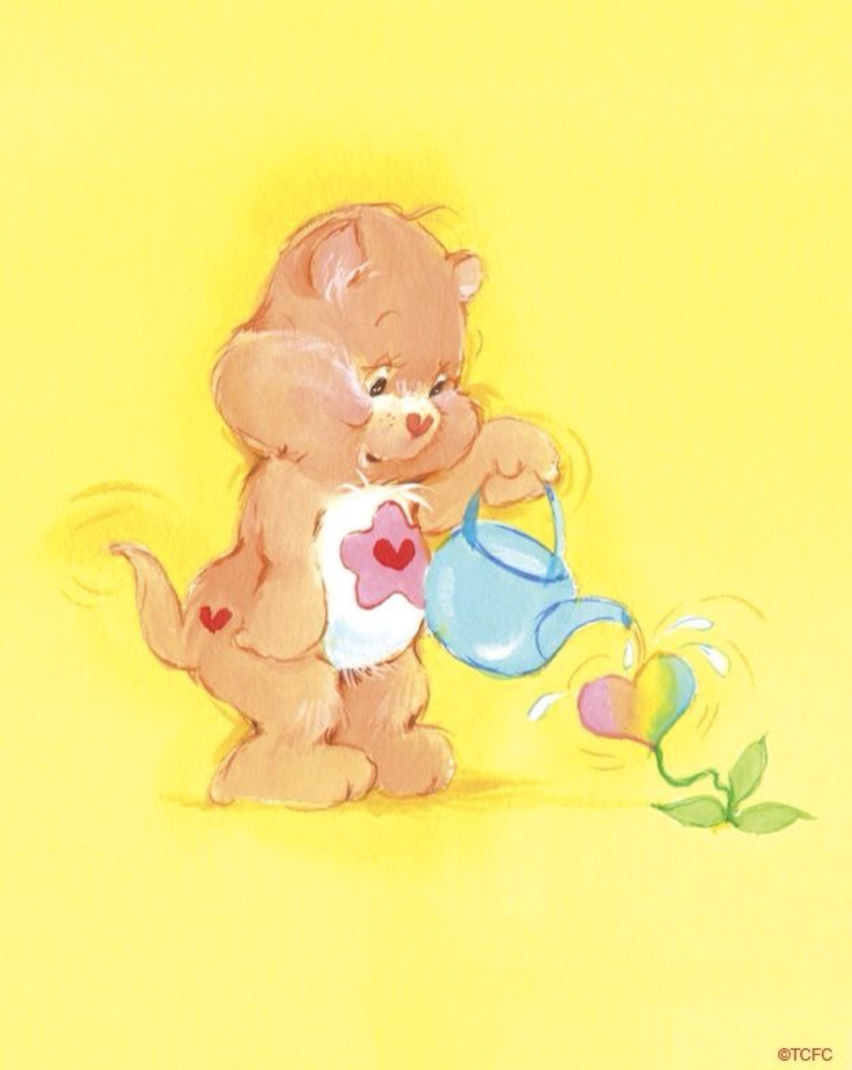 care bears图片