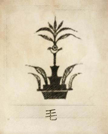 【毛姓】毛姓图腾,毛是以鸟羽为图腾的三苗羽民的王冠得姓.