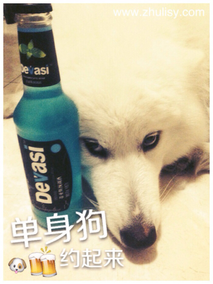 单身狗,约起来