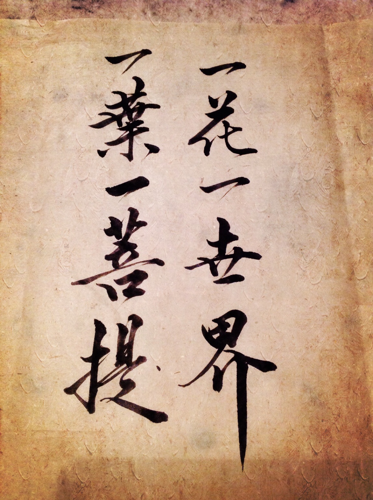 一花一世界,一叶一菩提图片