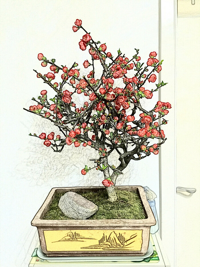 手绘海棠花